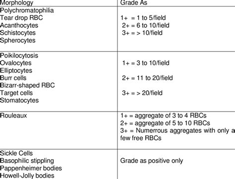 rbc morphology grading chart.